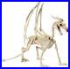 Large_Dragon_Skeleton_Adjustable_Body_Parts_Halloween_Indoor_Outdoor_Prop_49L_01_jmp