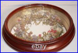 Lg Antique Victorian Woolwork Shadowbox Mourning Flower Wreath 1880 Oval Diorama