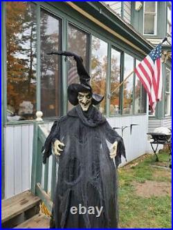 Life-Size Standing Wicked Witch in Pointy Hat Halloween Prop Lighted Eyes 6-Ft