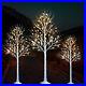 Lighted_Birch_Tree_4_6_8_FT_Set_of_3_Decoration_LED_Lighted_Trees_for_Christmas_01_yic