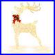 Lighted_Christmas_Reindeers_2_Pieces_Christmas_Decoration_Pre_Lit_50_120_LED_01_wc