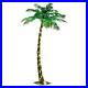 Lighted_Palm_Tree_Christmas_Lights_Led_Outdoor_Indoor_Lit_Up_Pre_Artificial_Xmas_01_kvqx