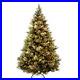 Lighted_Pine_Christmas_Tree_Holiday_Decorations_01_bose