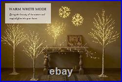 Lighted Twig Birch Tree Plug in with 8 Functions 4FT 200 Warm White and Multi