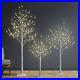Lightshare_Set_of_3_Lighted_Birch_Tree_4FT_6FT_and_8FT_LED_Artificial_Tree_01_mbfl