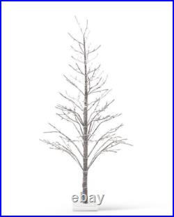 Lit White Birch 5.5 Foot Snowy Flocked LED Twig Tree NIB Christmas Winter
