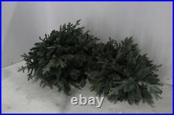 MARTHA STEWART Blue Spruce Pre Lit Artificial Christmas Tree 5 Feet Clear Lights
