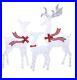 Member_Mark_PreLit_3_Piece_Twinkling_Deer_Family_in_Frosted_Ice_01_blyo