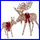 Moose_Family_Set_Lighted_LED_Outdoor_Christmas_Yard_Decoration_2_Piece_01_xy