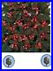NEW_120_Holly_Berry_Red_LED_Christmas_Tree_String_Fairy_Lights_5_8m_BATTERY_AA_01_hj