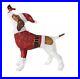 NEW_IN_HAND_Home_Accents_Holiday_Light_Up_Christmas_Pointer_Dog_21RT0232114_01_ari