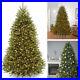 National_Tree_7_5_Foot_Dunhill_Fir_Christmas_Tree_with_750_Clear_Lights_Hinged_01_ip