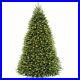National_Tree_Company_10_ft_Dunhill_Fir_Tree_with_Dual_Color_LED_Lights_01_tk