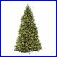 National_Tree_Company_12_Ft_Pre_Lit_Dunhill_Fir_Artificial_Christmas_Tree_Used_01_we