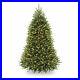 National_Tree_Company_6_5_Foot_Pre_Lit_Dunhill_Fir_Artificial_Tree_Open_Box_01_lpti