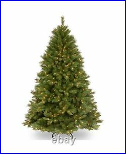 National Tree Company 6 Feet Winchester Pine Tree with Clear Lights