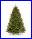 National_Tree_Company_6_Feet_Winchester_Pine_Tree_with_Clear_Lights_01_pta