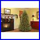 National_Tree_Company_9_ft_Dunhill_Fir_Pre_lit_Artificial_Christmas_Tree_WithStand_01_bp