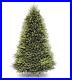 National_Tree_Company_Artificial_Christmas_Tree_Dunhill_Fir_Stand_Included_01_dyry