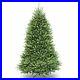 National_Tree_Company_Artificial_Christmas_Tree_Includes_Stand_Dunhill_Fir_6_ft_01_hcca