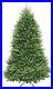 National_Tree_Company_Artificial_Full_Christmas_Tree_Green_Dunhill_Fir_01_fm