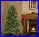 National_Tree_Company_Artificial_Full_Christmas_Tree_Green_Dunhill_Fir_01_fp