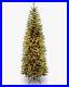 National_Tree_Company_Artificial_Pre_Lit_Slim_Christmas_Tree_6_5_ft_Green_01_tqrw