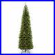 National_Tree_Company_Kingswood_12_Pencil_Artificial_Christmas_Tree_with_Stand_01_oxmg