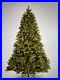 National_Tree_Company_Pre_Lit_6_5_Feet_Douglas_Fir_White_Light_Christmas_Tree_01_rv