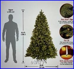 National Tree Company Pre-Lit 6.5 Feet Douglas Fir White Light Christmas Tree