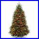 National_Tree_Company_Pre_Lit_Artificial_Full_Christmas_Tree_Green_Dunhill_Fi_01_eui