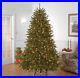 National_Tree_Company_Pre_Lit_Artificial_Full_Christmas_Tree_Green_Dunhill_Fi_01_khr