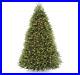 National_Tree_Company_Pre_Lit_Christmas_Tree_Dunhill_Fir_White_Lights_9_Feet_01_her