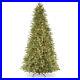National_Tree_Company_Tiffany_Fir_9_Large_Slim_Prelit_Artificial_Christmas_Tree_01_ed