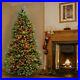 National_Tree_Dunhill_Fir_Tree_with_Multicolor_Lights_Green_7_5_01_qf