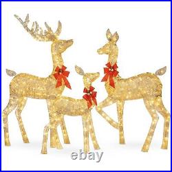 New 3-Piece Lit Christmas Deer Set Outdoor Decoration w LED Lights Gold Or White