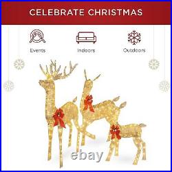 New 3-Piece Lit Christmas Deer Set Outdoor Decoration w LED Lights Gold Or White