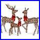 New_Frosted_3_Piece_Lighted_Rattan_Deer_Family_Outdoor_Decor_Set_with_360_Lights_01_did