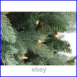 Northlight 4.7' Slim Fresh Cut Carolina Frasier Fir Artificial Christmas Tree