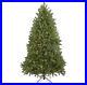 Northlight_9_Full_Northern_Pine_Artificial_Christmas_Tree_Clear_Lights_01_sgwn