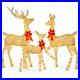 Outdoor_Christmas_Yard_Decoration_Reindeer_Family_Set_Pre_Lit_360_LED_Lights_01_nhn