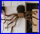 Pottery_Barn_Halloween_Brown_Black_Furry_Motion_Moving_Spider_New_In_Box_01_pj
