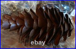 Pottery Barn Large Metal Pinecone Vase Filler, NEW, FREE Ship, QTY 4