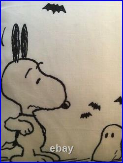 Pottery Barn Outdoor Peanuts Snoopy Pillow NEW Sold Out Halloween Fall