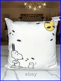 Pottery Barn Outdoor Peanuts Snoopy Pillow SET OF 2 Sold Out Halloween Fall NWT