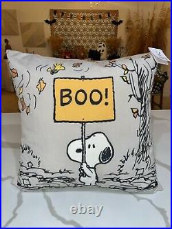 Pottery Barn Outdoor Peanuts Snoopy Pillow SET OF 2 Sold Out Halloween Fall NWT