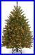 Pre_Lit_Artificial_Mini_Christmas_Tree_Green_Dunhill_Fir_White_Lights_Includ_01_ze