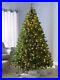 Pre_Lit_Victorian_Pine_5ft_Multi_Function_Christmas_Tree_300_Warm_LED_Lights_New_01_vm