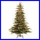 Puleo_International_6_5_Foot_Artificial_Prelit_Montclair_Fir_Christmas_Tree_01_cft