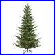 Puleo_International_6_5_Pre_Lit_Natural_Fir_Christmas_Tree_Green_6_5_01_yxl